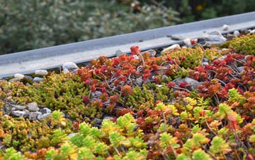 the cost of Penycwm green roof installation