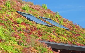 Penycwm living roof systems